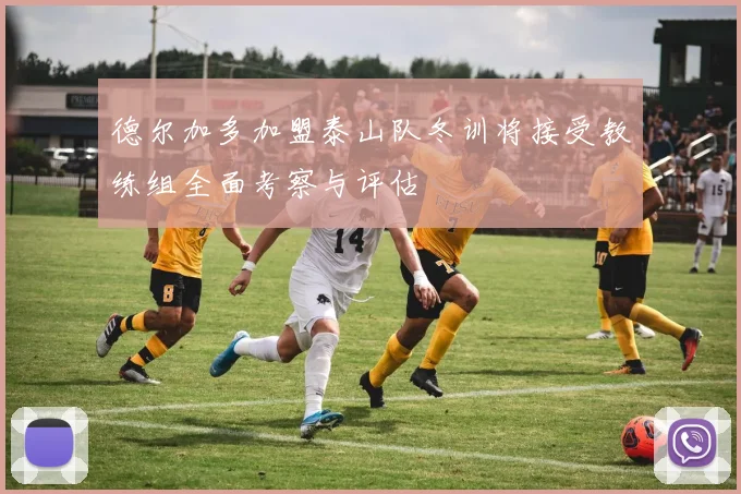 德尔加多加盟泰山队冬训将接受教练组全面考察与评估