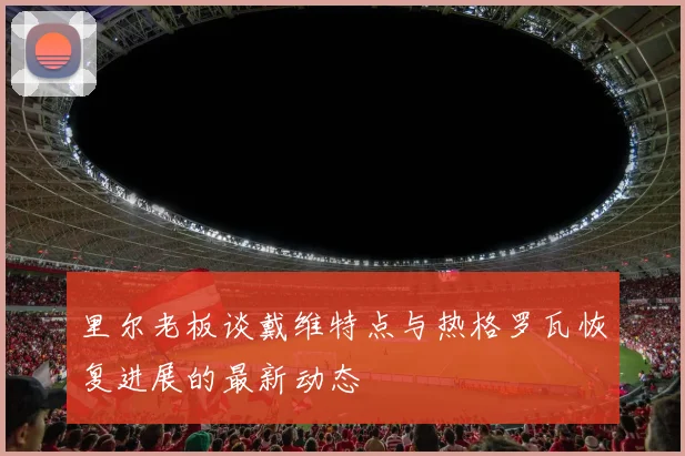 里尔老板谈戴维特点与热格罗瓦恢复进展的最新动态