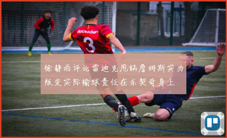 徐静雨评论雷迪克甩锅詹姆斯实为叛变实际输球责任在东契奇身上